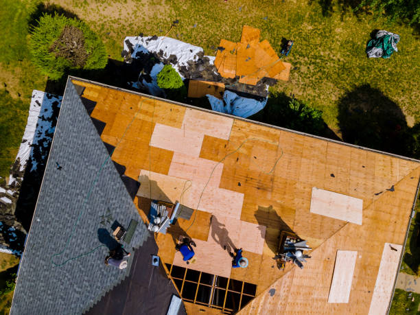 Best Storm Damage Roof Repair  in Greenville, PA